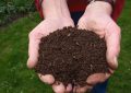 Vermicompost