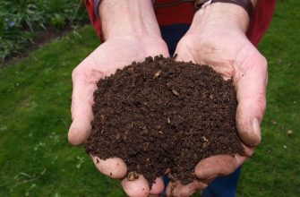 Vermicompost