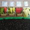 Sowing peppers