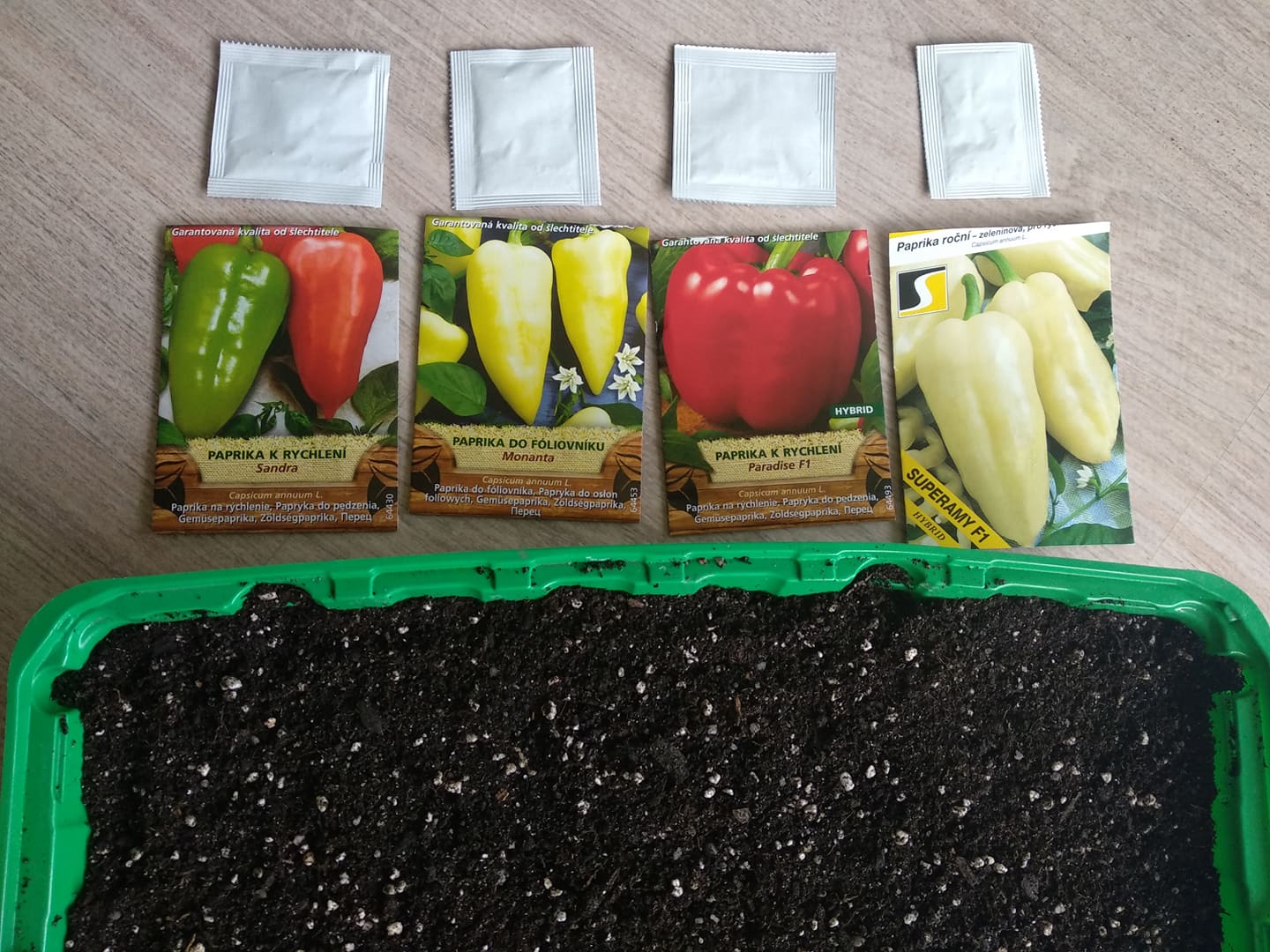 Sowing peppers