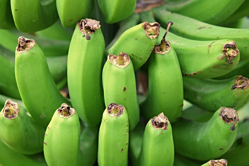 Bananas