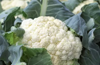 Cauliflower