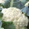 Cauliflower