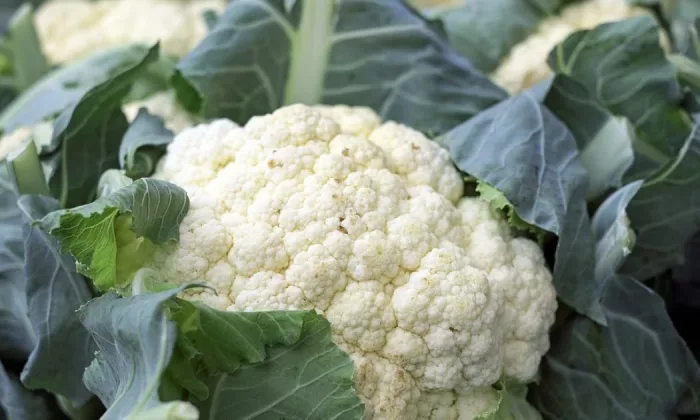 Cauliflower