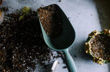Soil