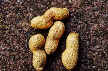 Peanuts