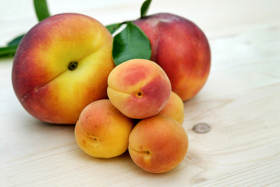 Miniature apricots