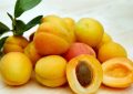 Miniature apricots