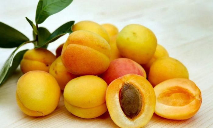 Miniature apricots