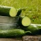Cucumbers