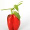 Peppers