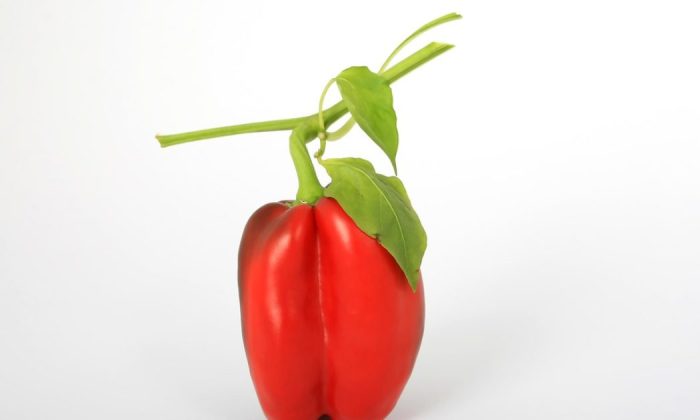 Peppers