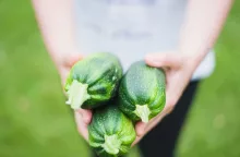 Zucchini