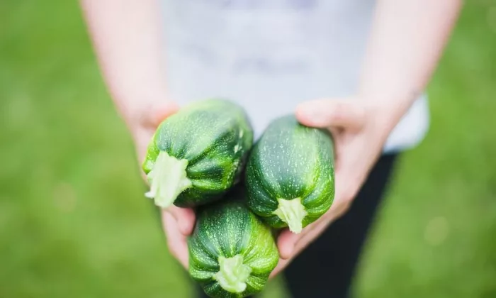 Zucchini