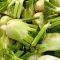 Fennel