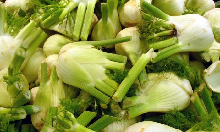 Fennel