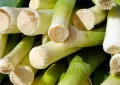 Leek