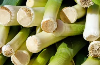 Leek