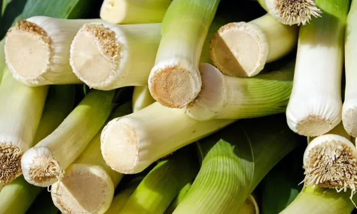 Leek