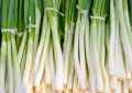 Spring onions