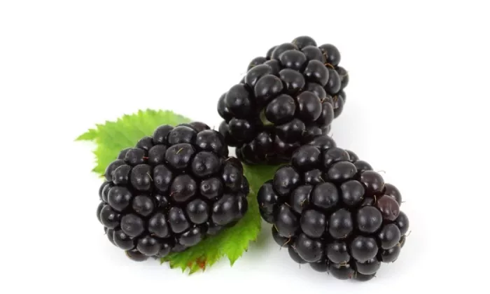 Blackberries