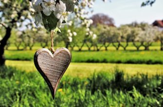 Fruit trees