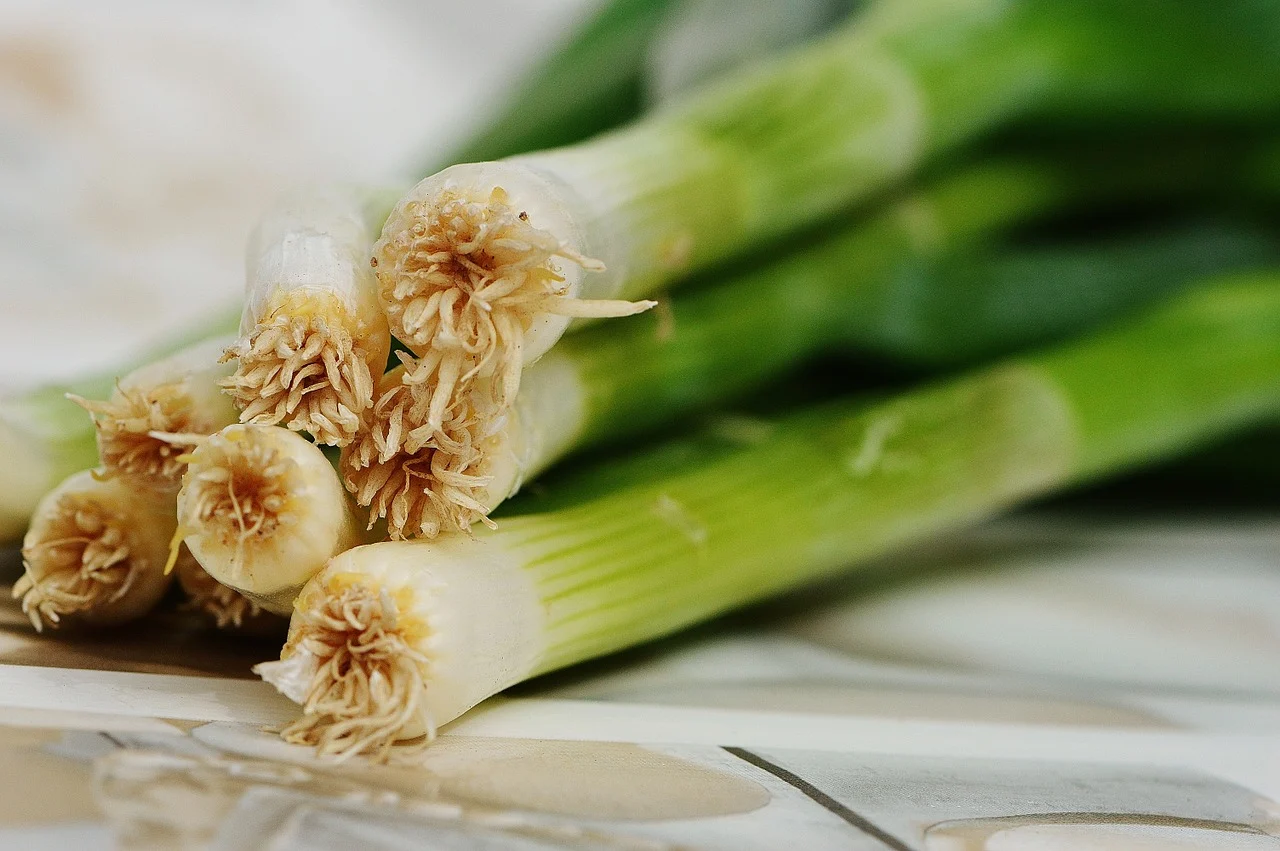 Spring onions