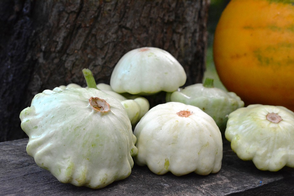 Pattypan squash