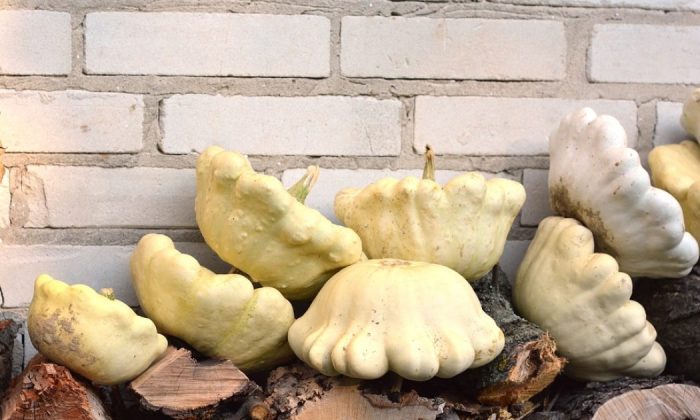 Pattypan squash