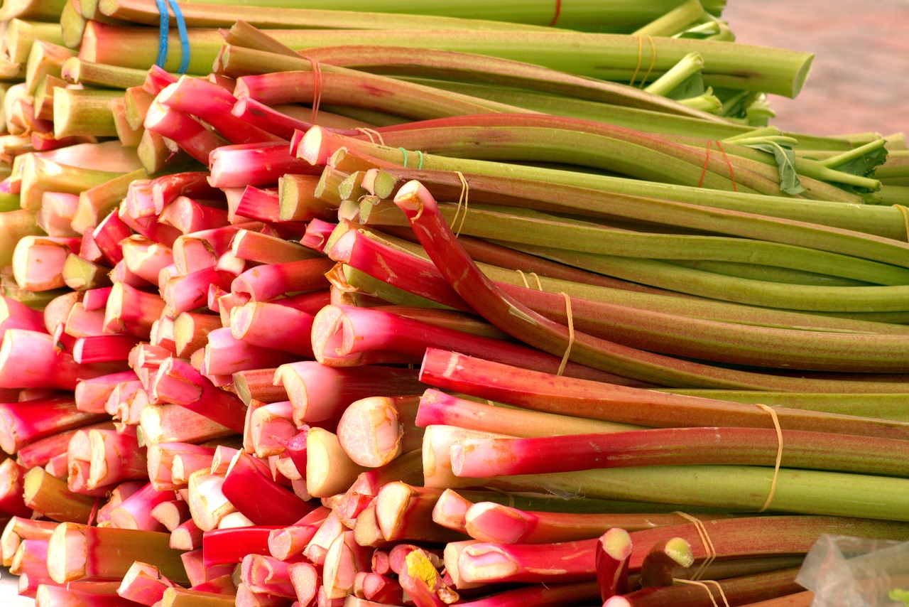 Rhubarb