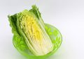 Chinese cabbage