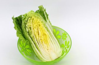 Chinese cabbage