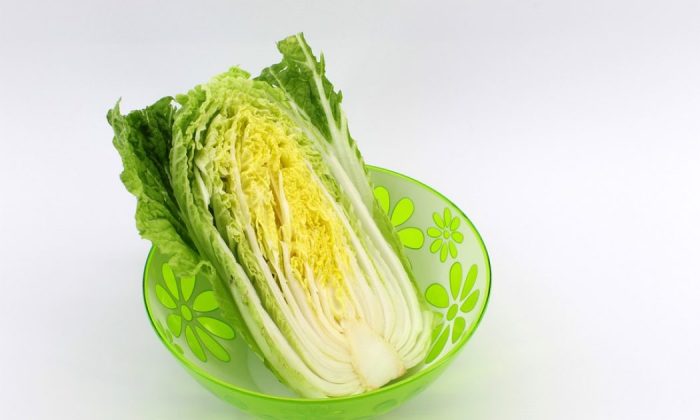 Chinese cabbage