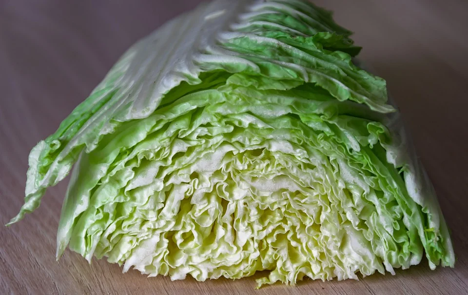 Chinese cabbage