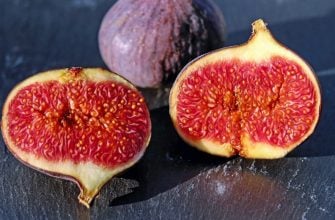 Figs