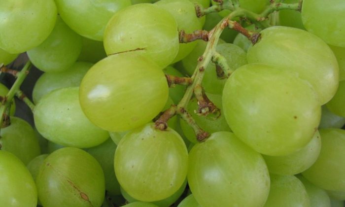 Grapes