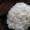 Coral tooth mushroom