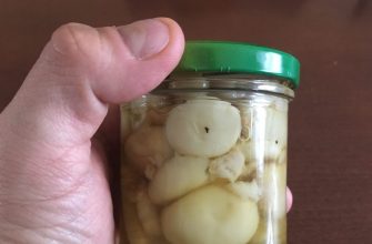 Puffball pickling