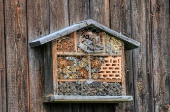 Insect house