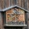Insect house