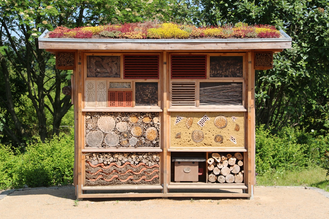 Insect house