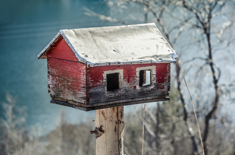 Bird feeders 