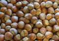 Hazelnuts