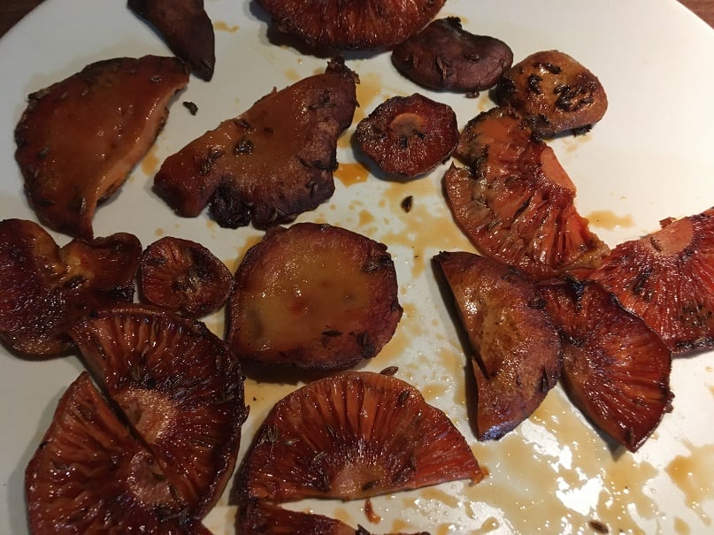 Saffron milkcap and orange milkcap 