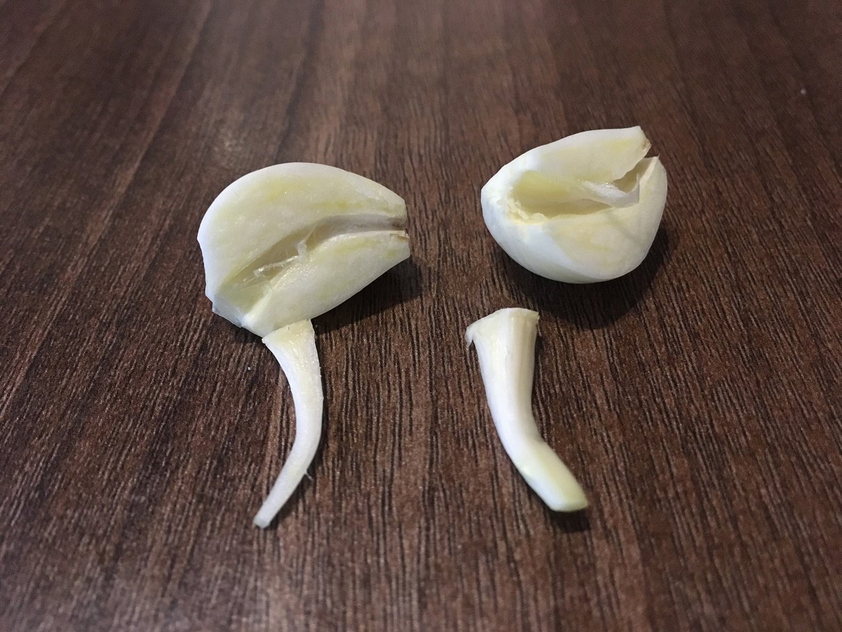 Garlic