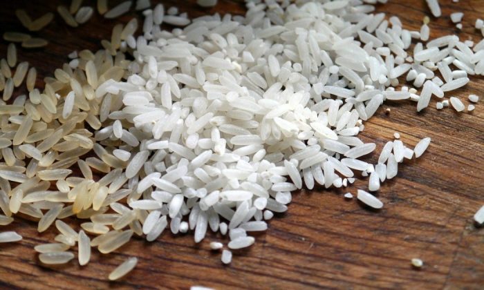 Rice