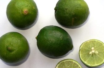 Limequats