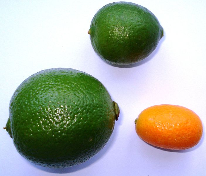 Limequats