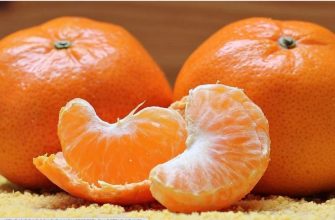 Tangerines