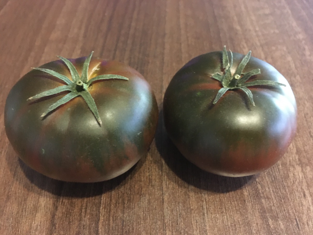 Adora tomatoes 